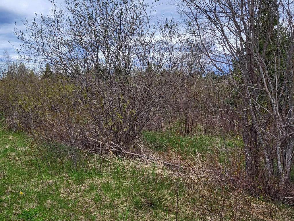 












178 Trout Brook Road

,
Colchester,







NS
B0K 1V0

