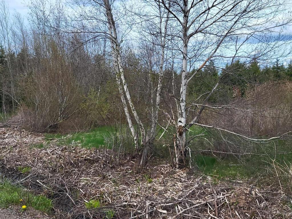












178 Trout Brook Road

,
Colchester,







NS
B0K 1V0

