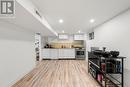 Basement Kitchen