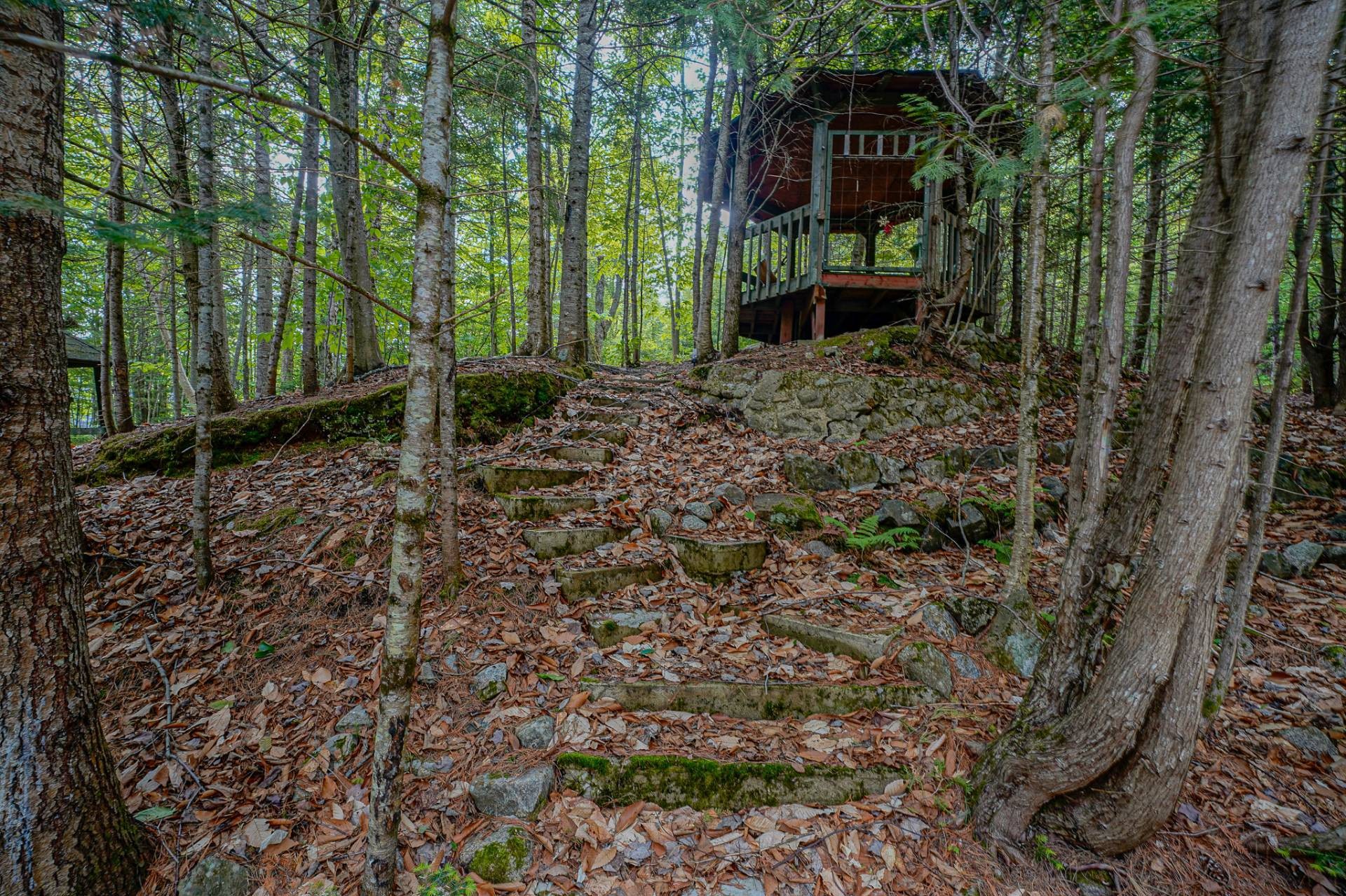









431


Ch. du Lac-Earl E.

,
Montcalm,




QC
J0T2V0

