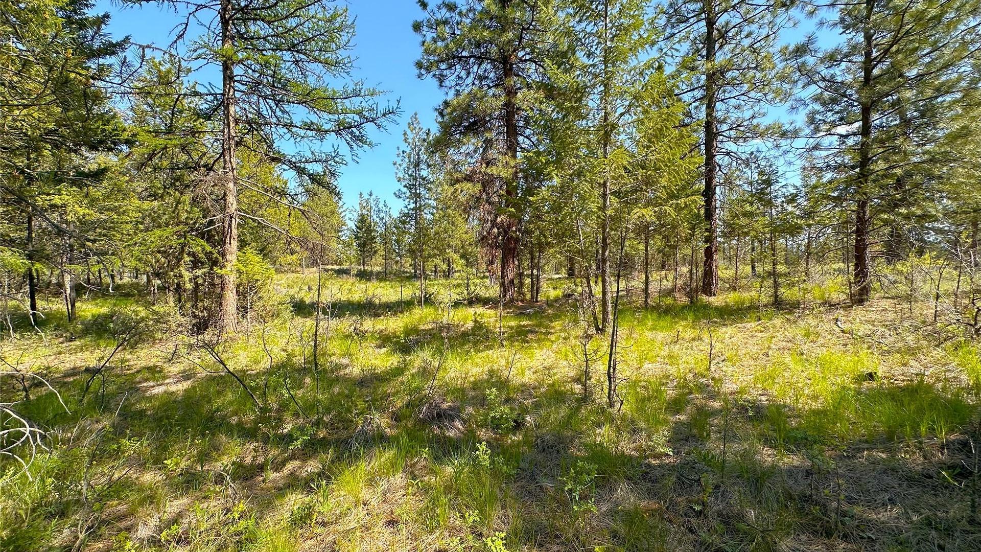 









121


Corral

Boulevard,
Cranbrook,







BC
V1C 0C2

