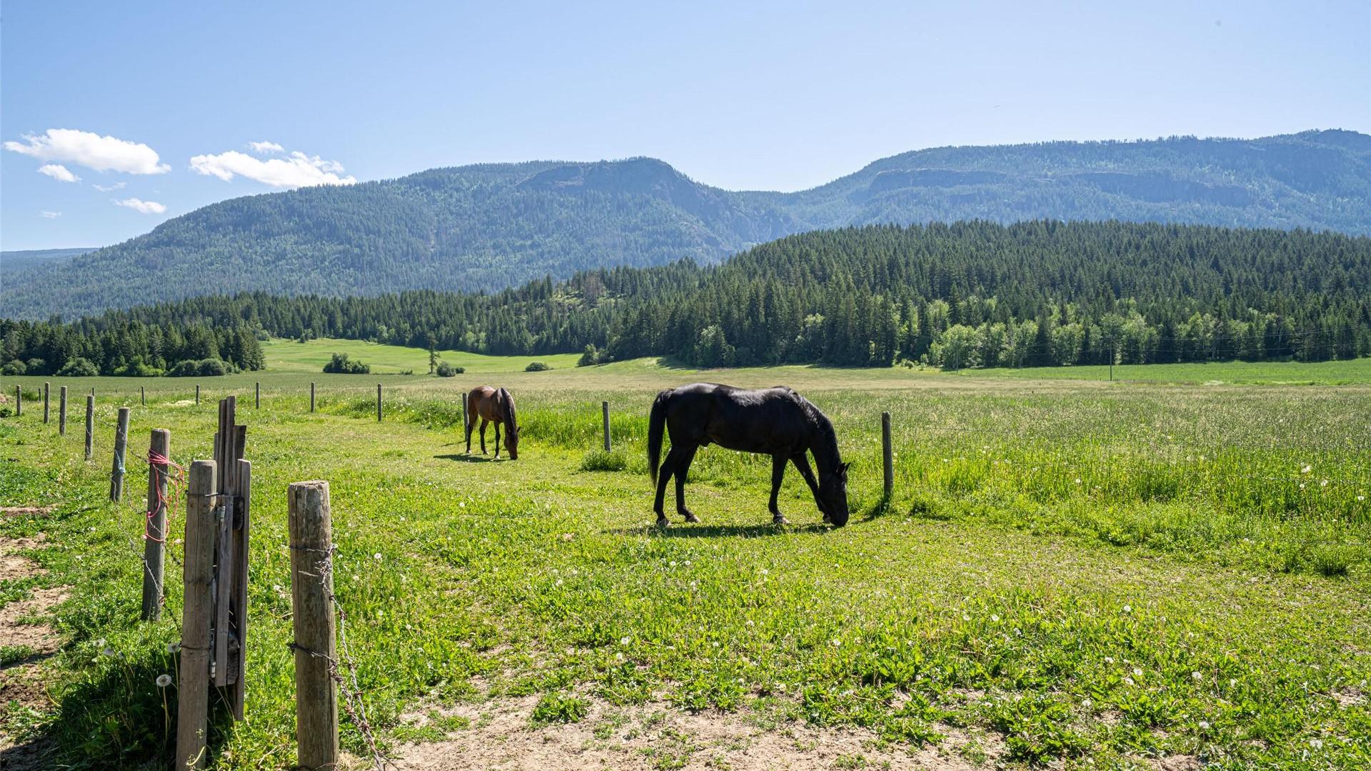 









749


Enderby - Grindrod

Road,
Enderby,




BC
V4Y 4K1

