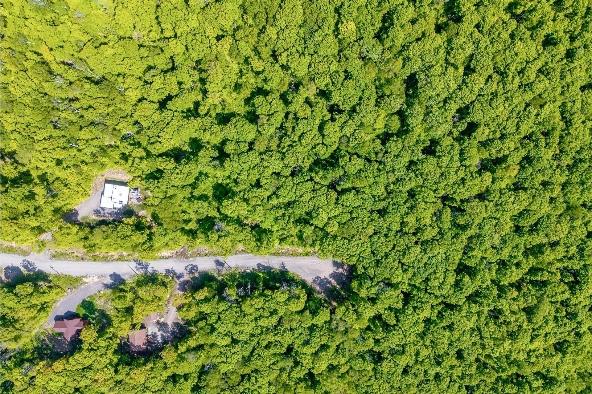 












Allée des Weskarinis

,
Mont-Tremblant,







QC
J8E2H6

