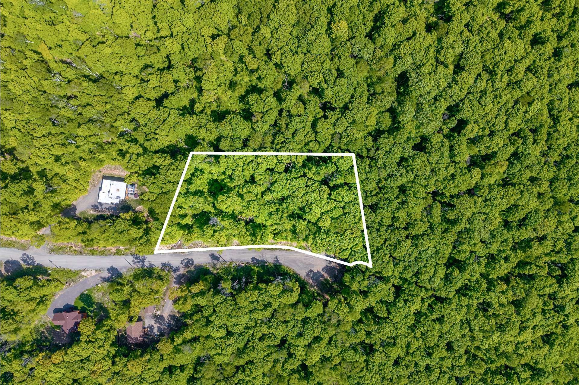 












Allée des Weskarinis

,
Mont-Tremblant,







QC
J8E2H6

