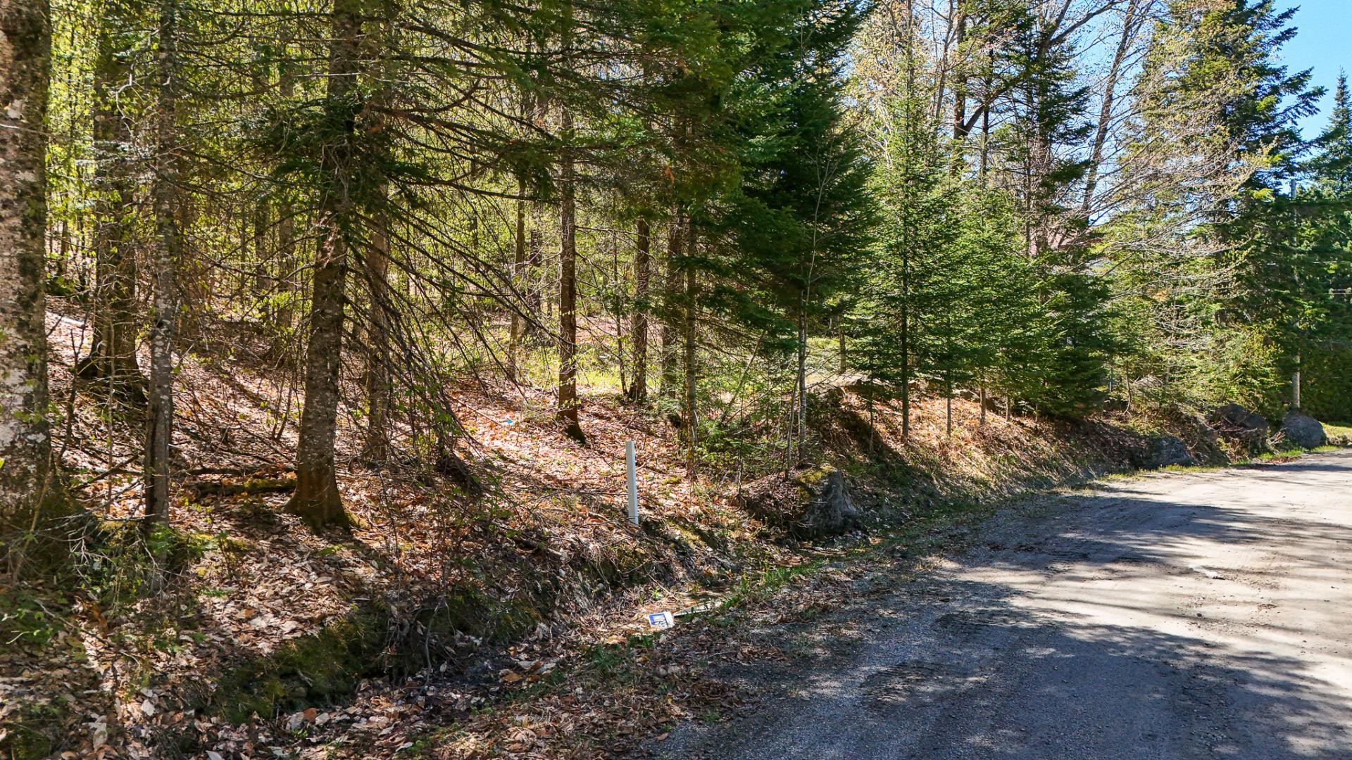 












520e Avenue

,
Saint-Hippolyte,







QC
J8A3J5

