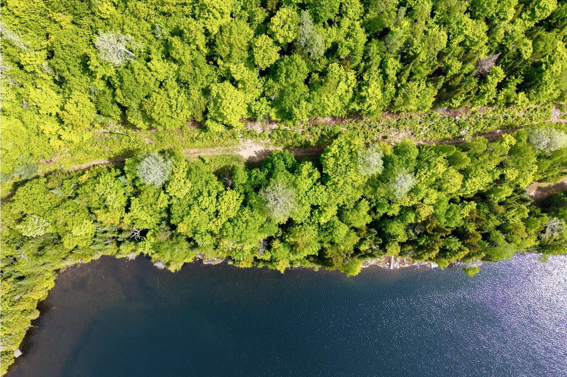 









1810


Ch. du Lac-Sauvage

,
Mont-Blanc,




QC
J0T1J2

