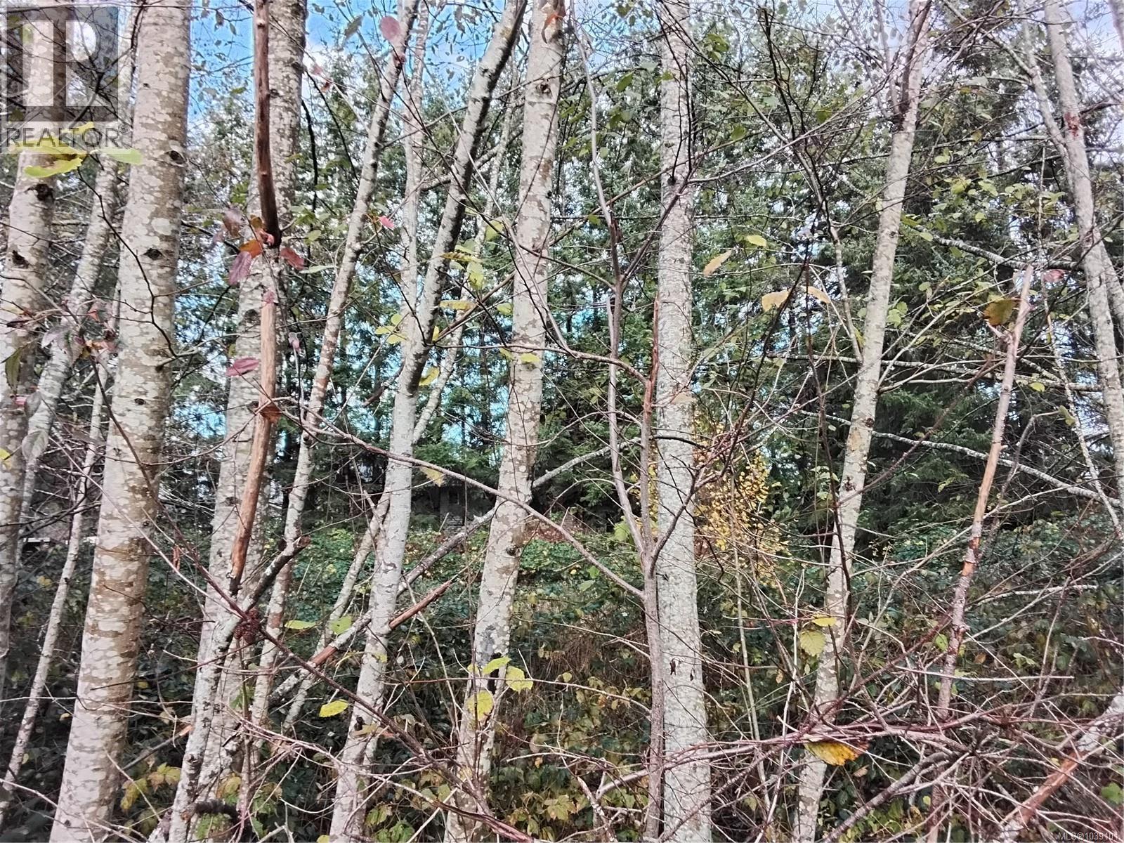 












Lot E Tatton Rd

,
Courtenay,







British Columbia
V9N7E4

