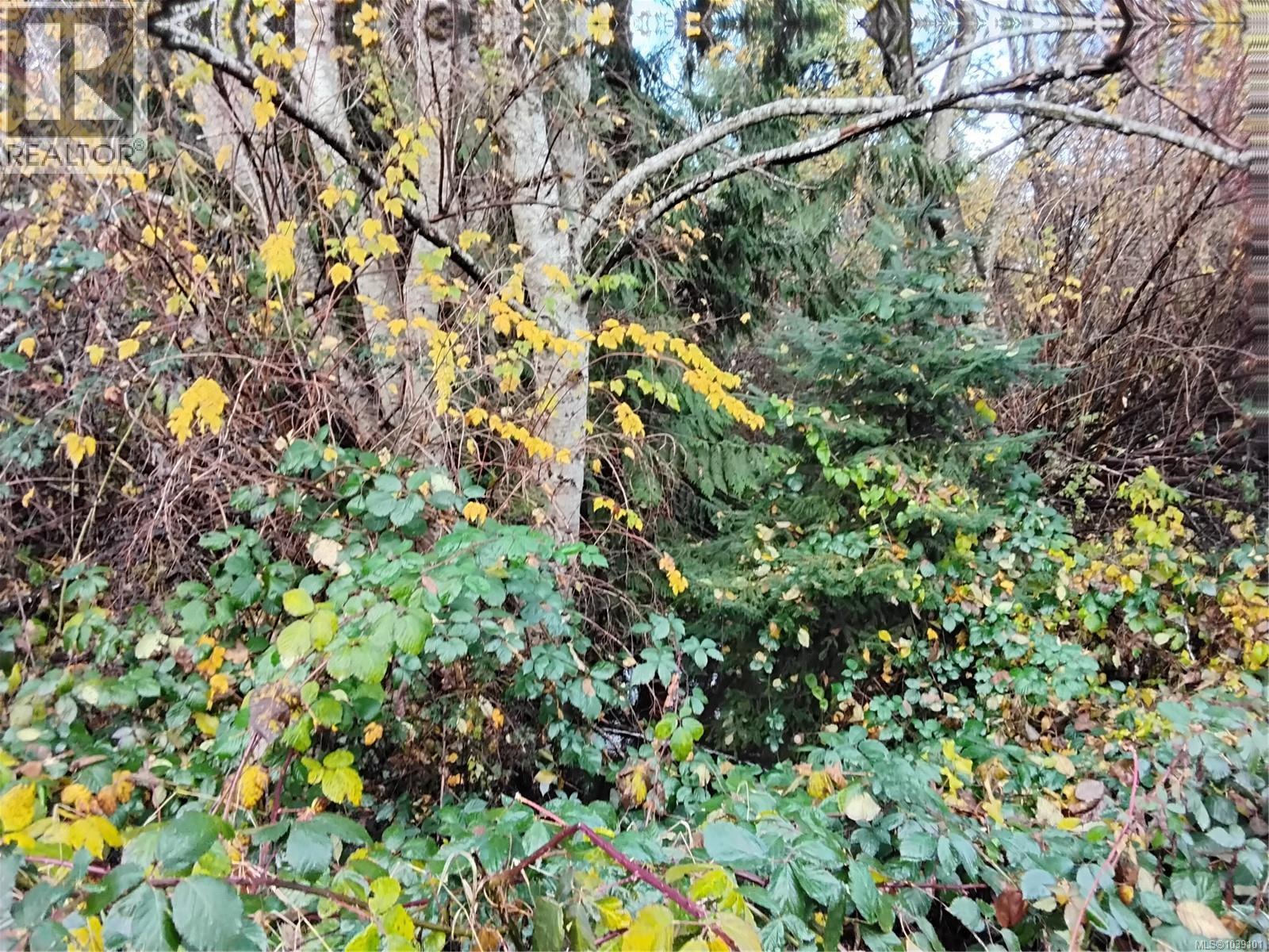 












Lot E Tatton Rd

,
Courtenay,







British Columbia
V9N7E4


