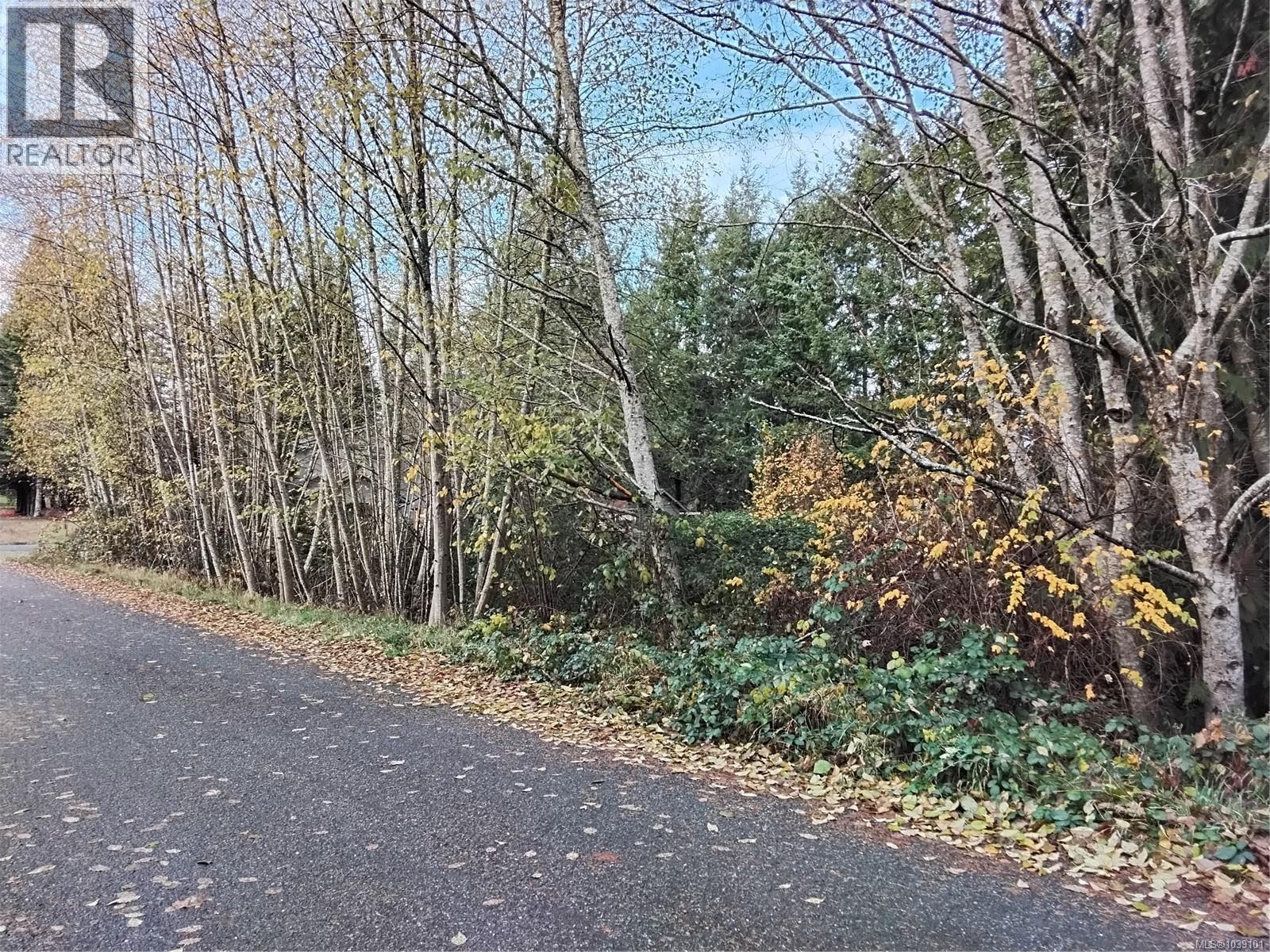 












Lot E Tatton Rd

,
Courtenay,







British Columbia
V9N7E4


