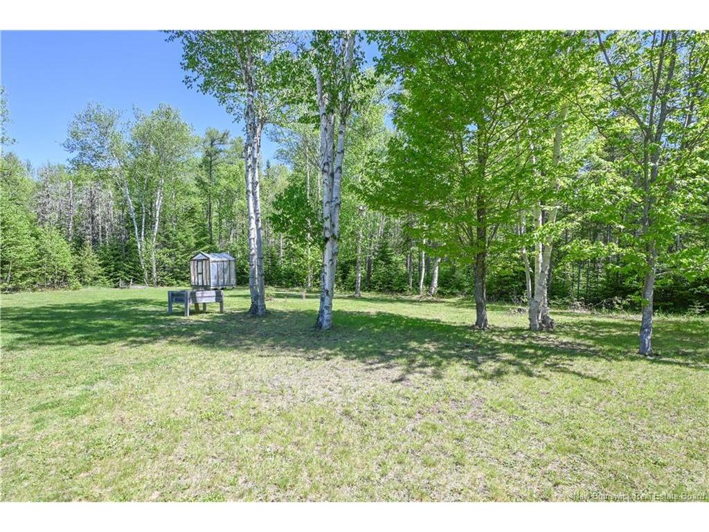 









374


du Bicentenaire

ST,
Bertrand,




NB
E1W 1G4

