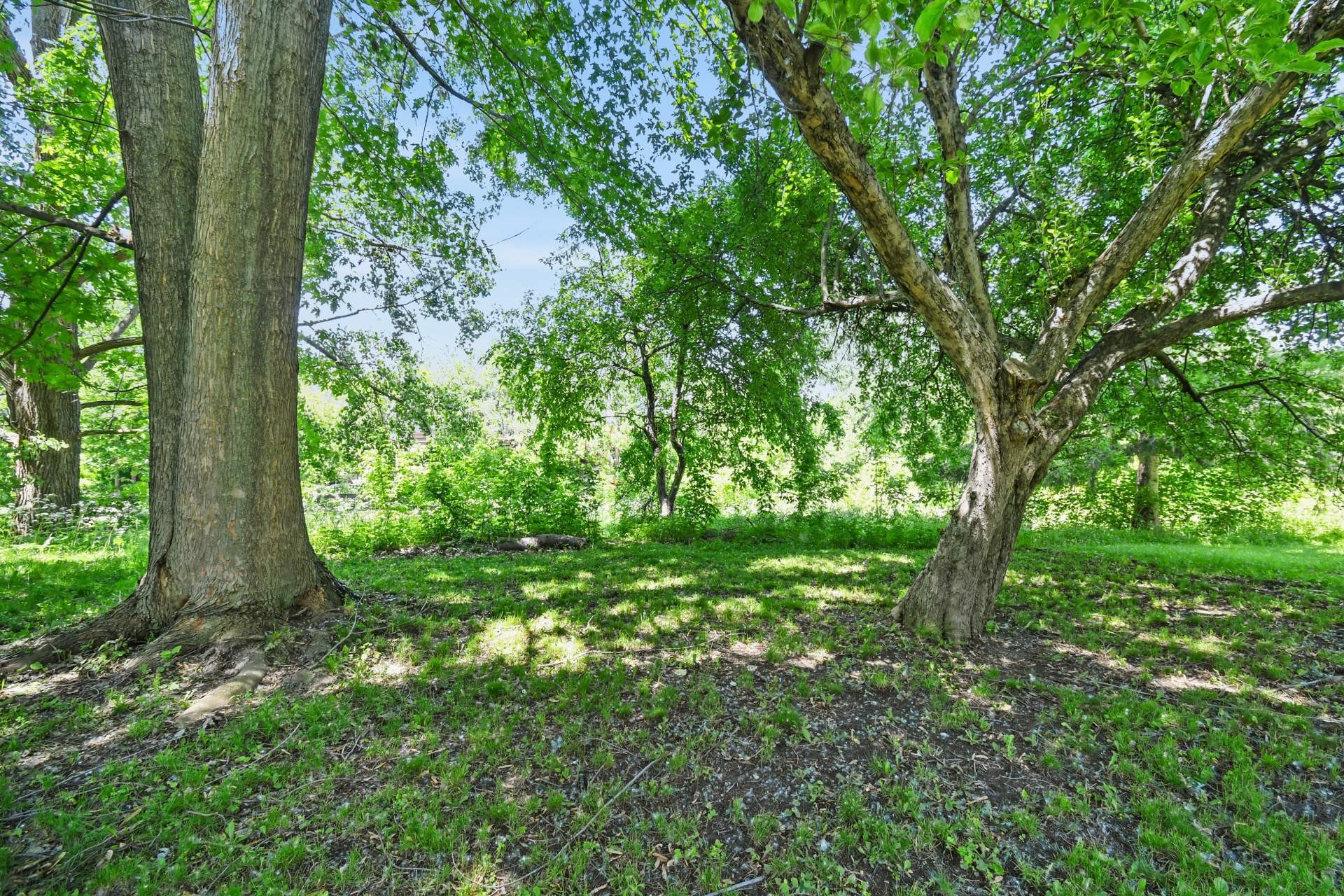 









158


Av. Mermoz

,
Candiac,




QC
J5R4T2

