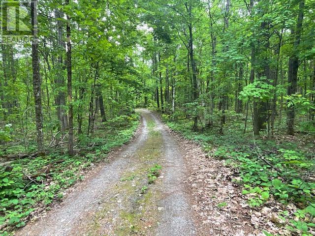 












2848 COUNTY ROAD 36

,
Trent Lakes,




Ontario
K0L1J0

