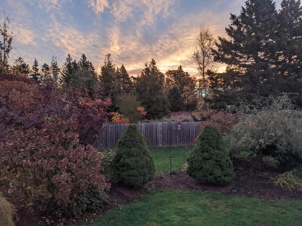 












148 South Drive

,
Summerside,




PE
C1N 3Y7

