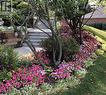 Summer Gardens