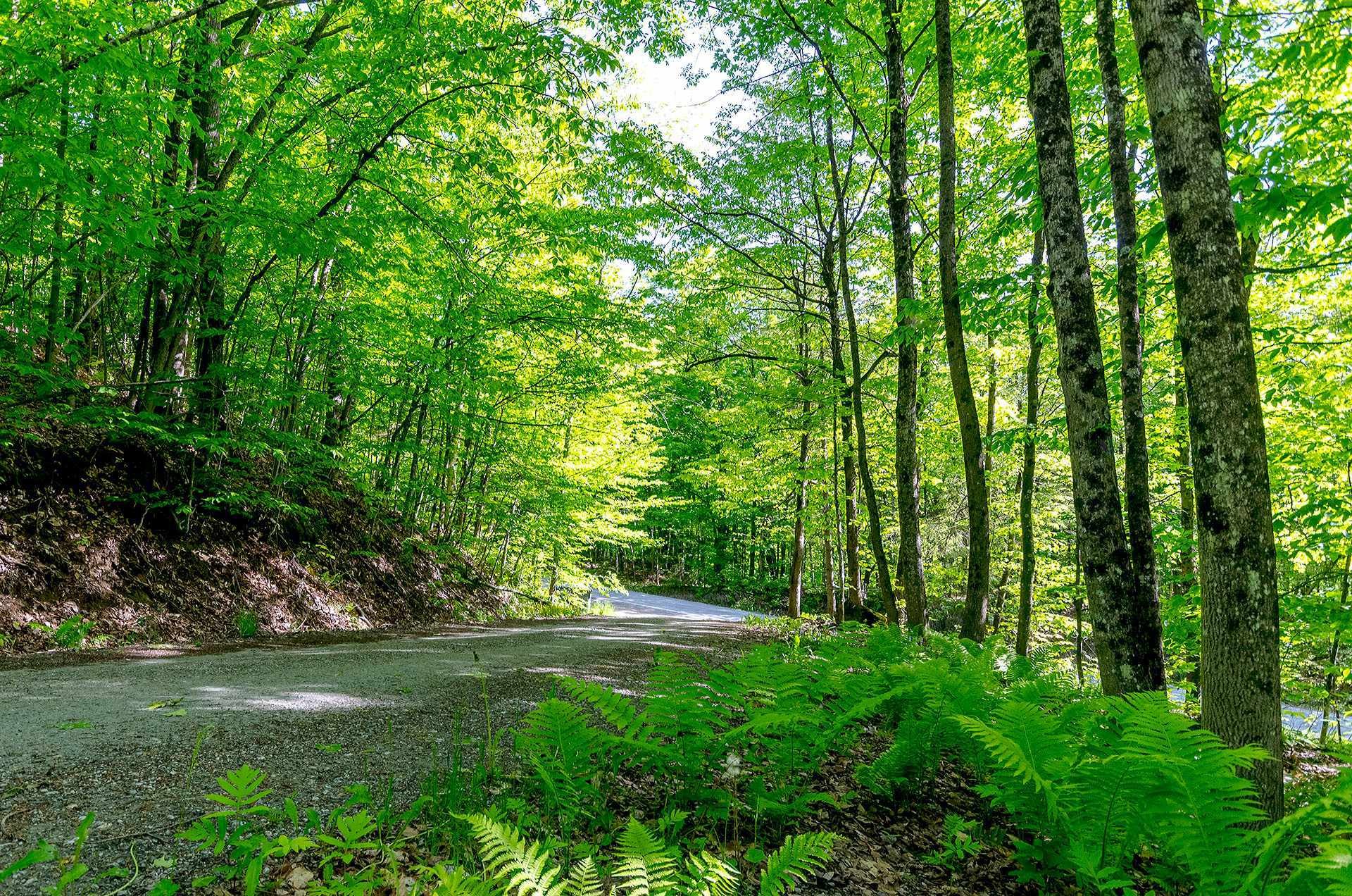 









17


Ch. McFarland

,
Hatley - Canton,




QC
J0B2C0

