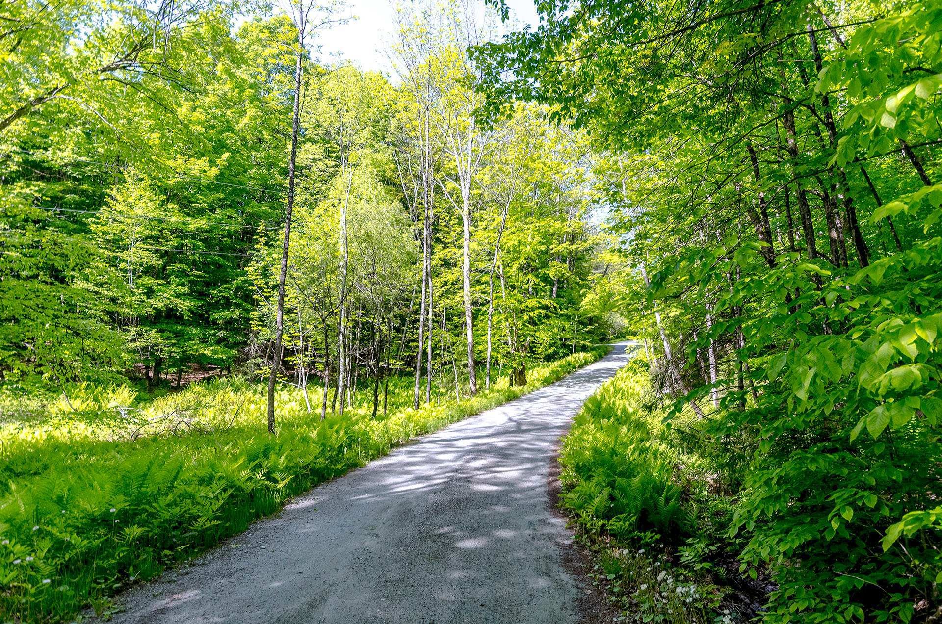 









17


Ch. McFarland

,
Hatley - Canton,




QC
J0B2C0

