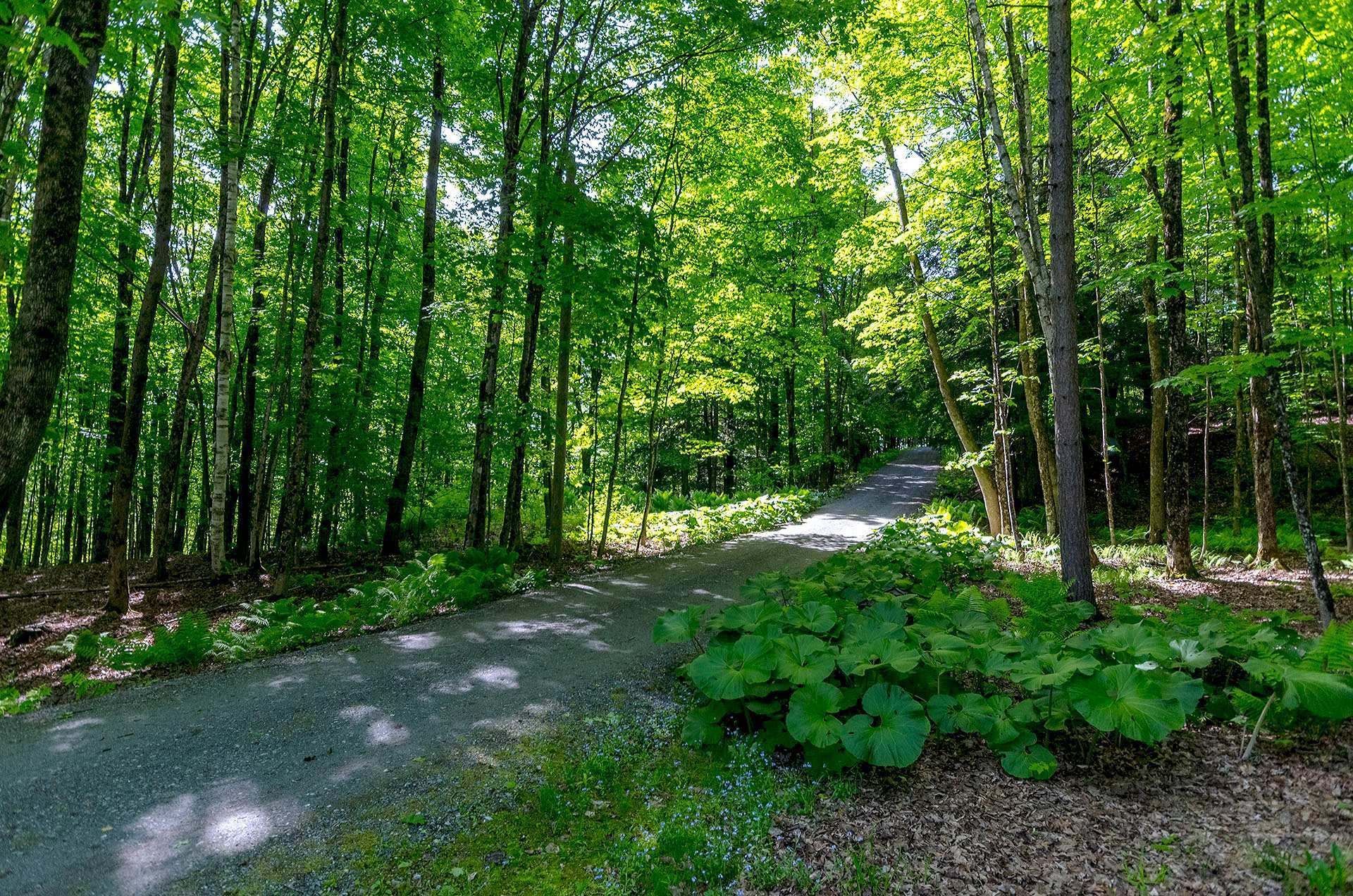 









17


Ch. McFarland

,
Hatley - Canton,




QC
J0B2C0

