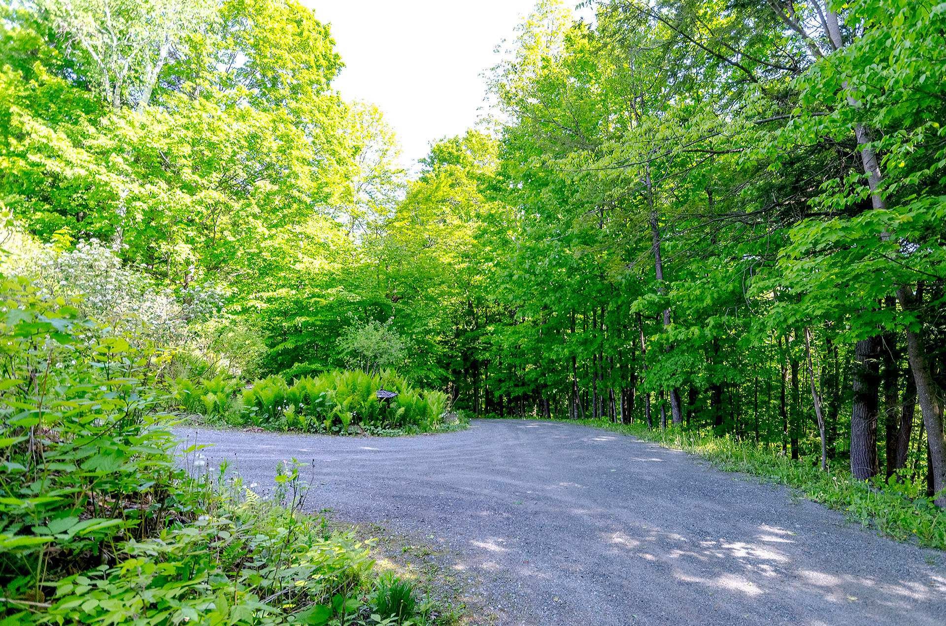 









17


Ch. McFarland

,
Hatley - Canton,




QC
J0B2C0

