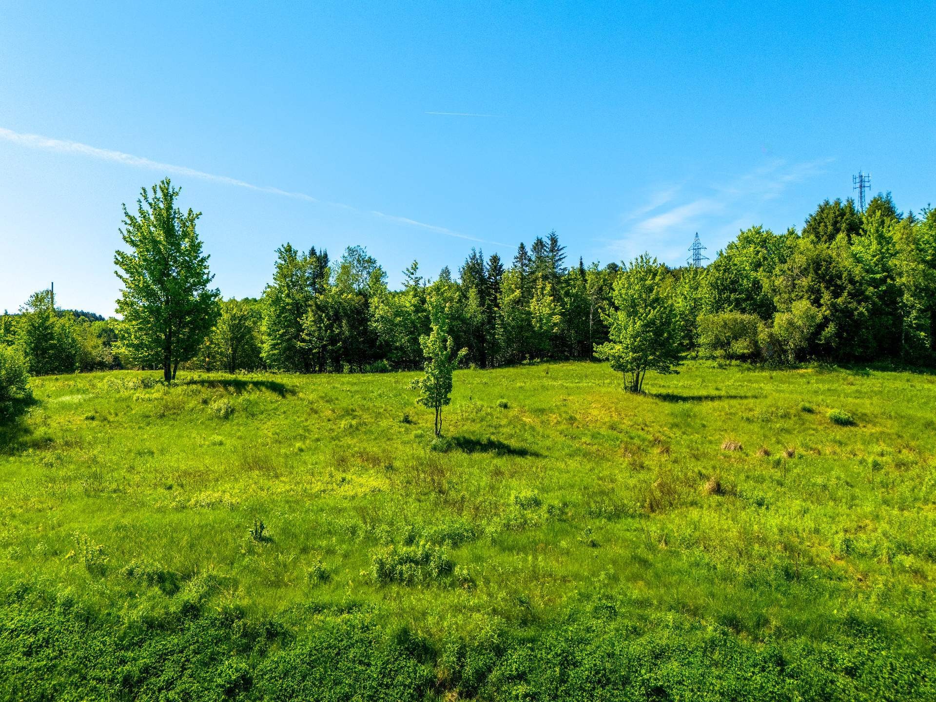 












Rue Étienne-Desmarteau

, LOT 31,
Sherbrooke (Brompton/Rock Forest/Saint-Élie/Deauville),







QC
J1H0A7

