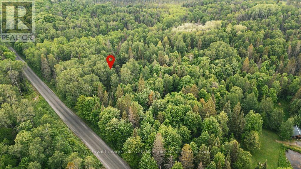 












123 ELY SIDE ROAD

,
Armour,







Ontario
P0A1C0

