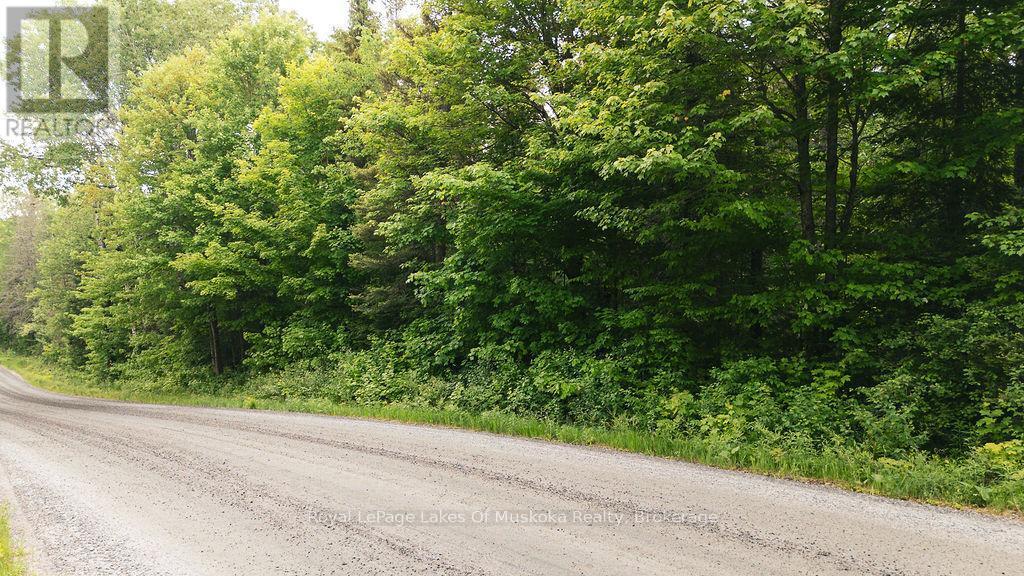 












123 ELY SIDE ROAD

,
Armour,







Ontario
P0A1C0

