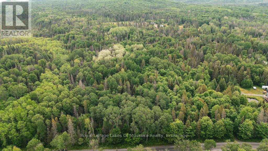 












123 ELY SIDE ROAD

,
Armour,







Ontario
P0A1C0

