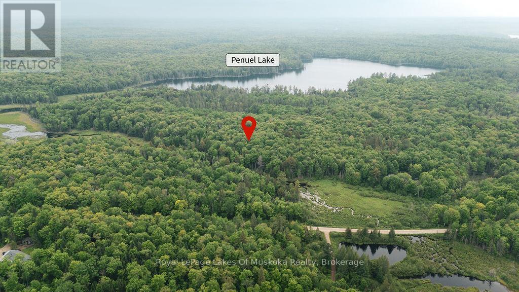 












254 EXPRESSWAY ROAD

,
Perry,







Ontario
P0A1J0

