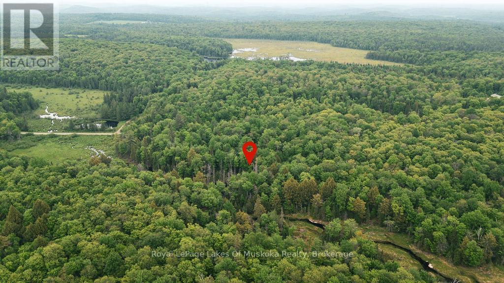 












254 EXPRESSWAY ROAD

,
Perry,







Ontario
P0A1J0

