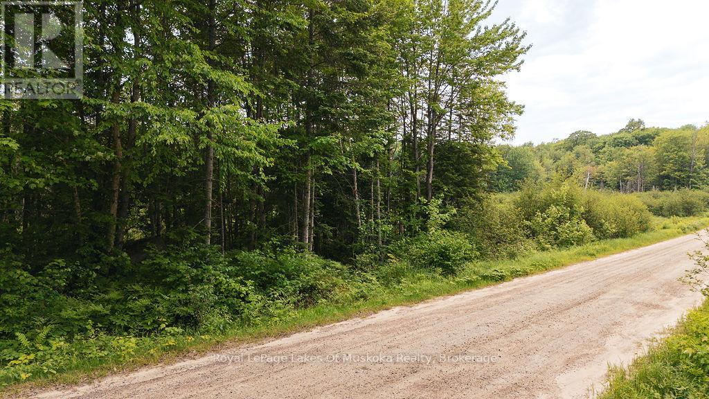 












254 EXPRESSWAY ROAD

,
Perry,







Ontario
P0A1J0

