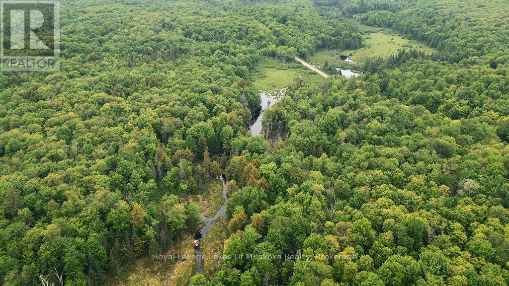 












254 EXPRESSWAY ROAD

,
Perry,







Ontario
P0A1J0

