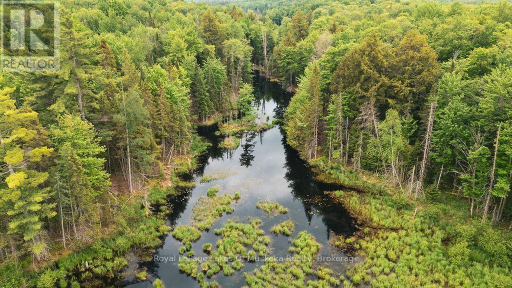












254 EXPRESSWAY ROAD

,
Perry,







Ontario
P0A1J0

