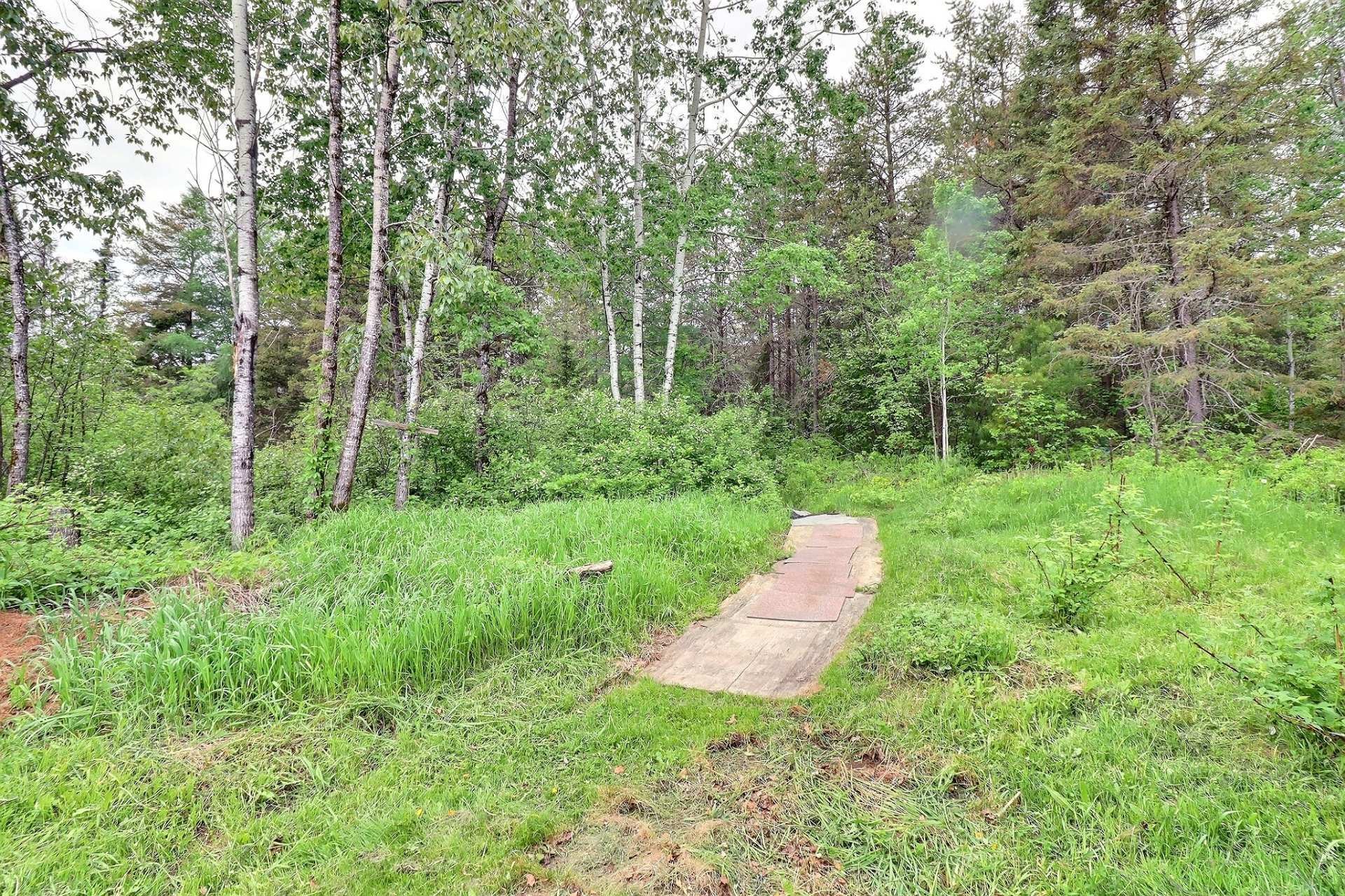 









191


Rue Perron

,
Saint-David-de-Falardeau,




QC
G0V1C0

