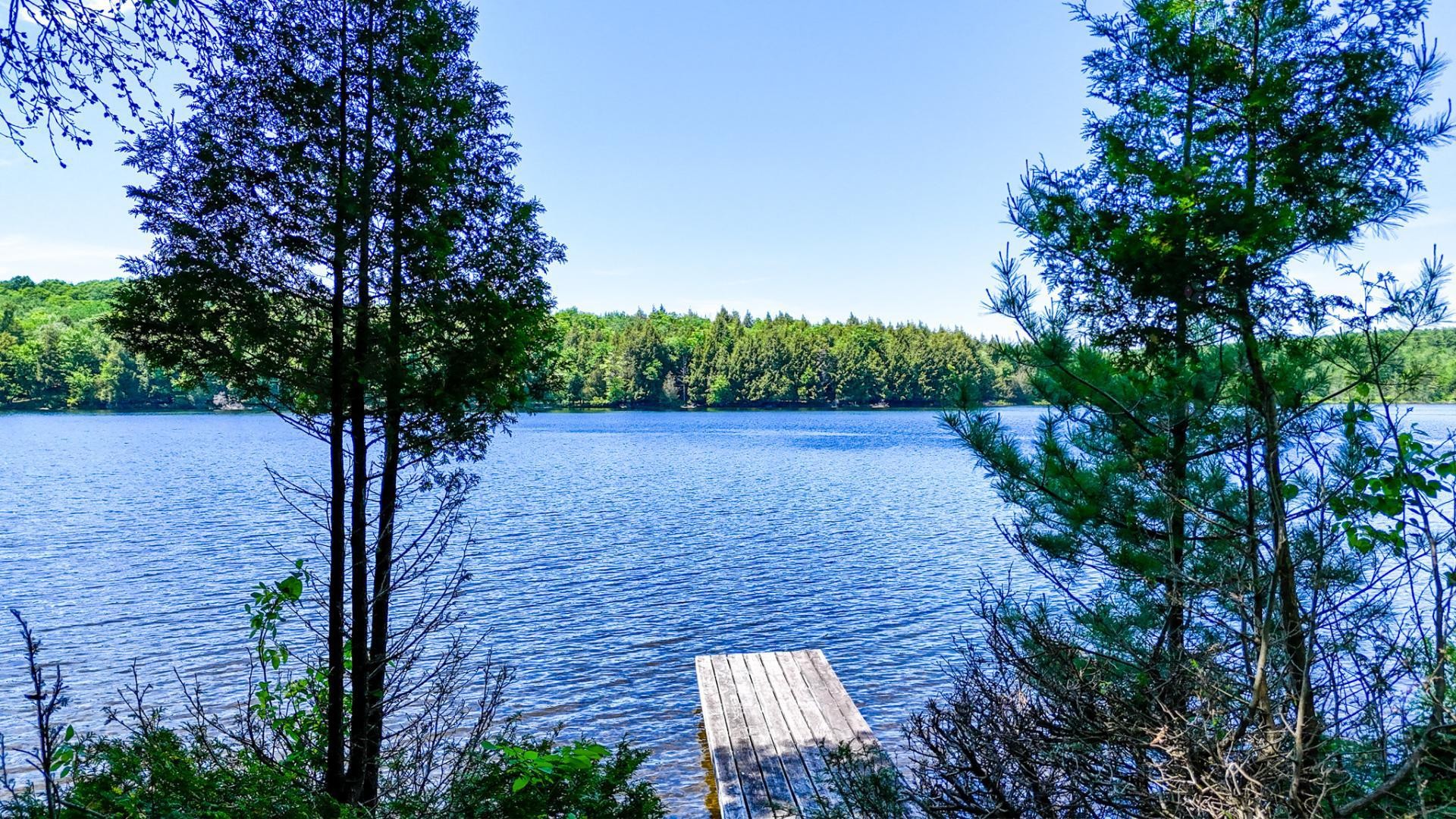 









69


Rue de l'Épervière

,
Orford,







QC
J1X6J7

