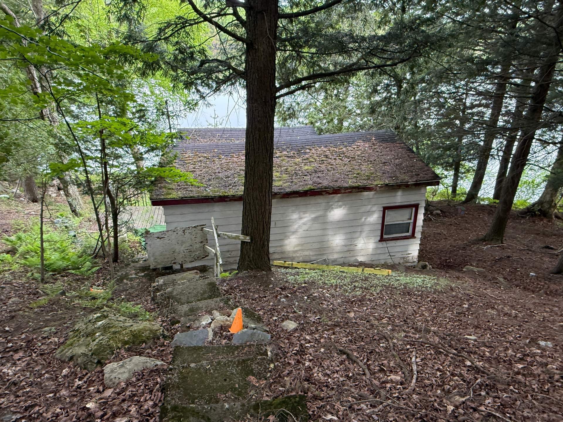 









69


Rue de l'Épervière

,
Orford,







QC
J1X6J7

