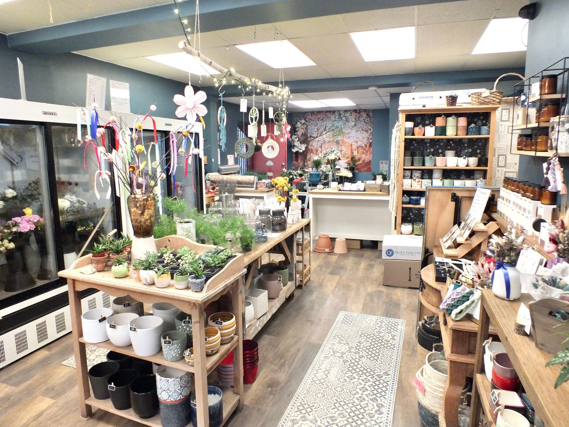









955


Rue Fleury E.

,
Montréal (Ahuntsic-Cartierville),




QC
H2C1P6

