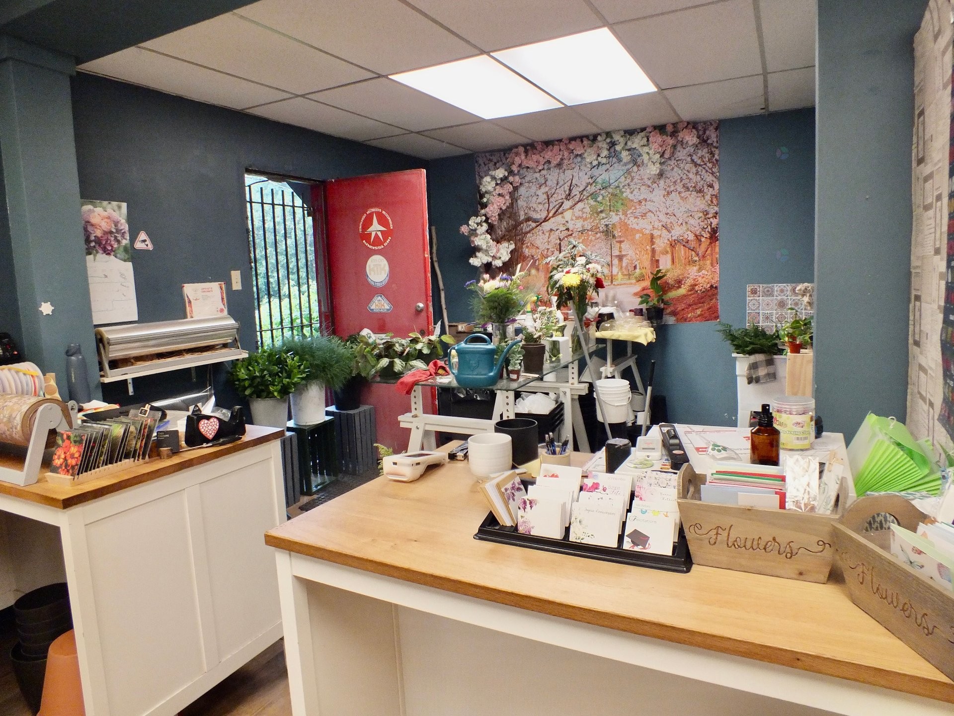 









955


Rue Fleury E.

,
Montréal (Ahuntsic-Cartierville),




QC
H2C1P6

