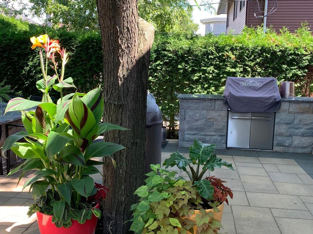 









231


Rue Trinidad

,
Dollard-Des Ormeaux,




QC
H9G2X4

