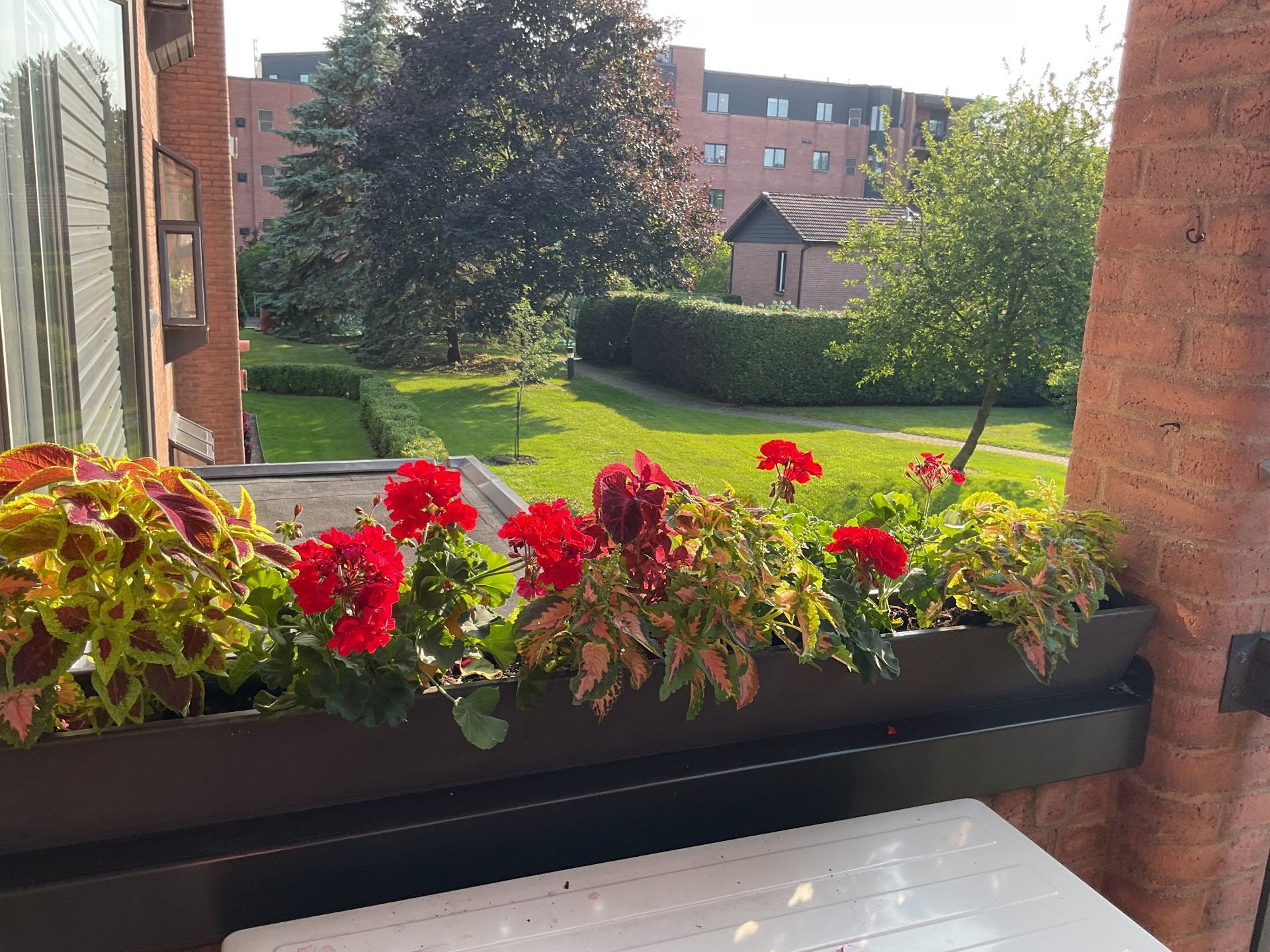 









1645


Rue Gauthier

, 24,
Saint-Bruno-de-Montarville,




QC
J3V5Y4

