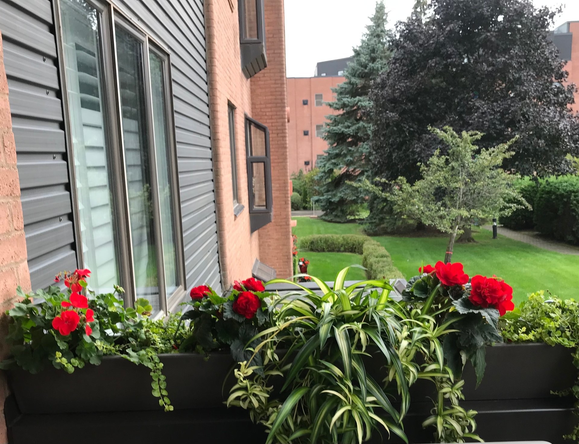 









1645


Rue Gauthier

, 24,
Saint-Bruno-de-Montarville,




QC
J3V5Y4

