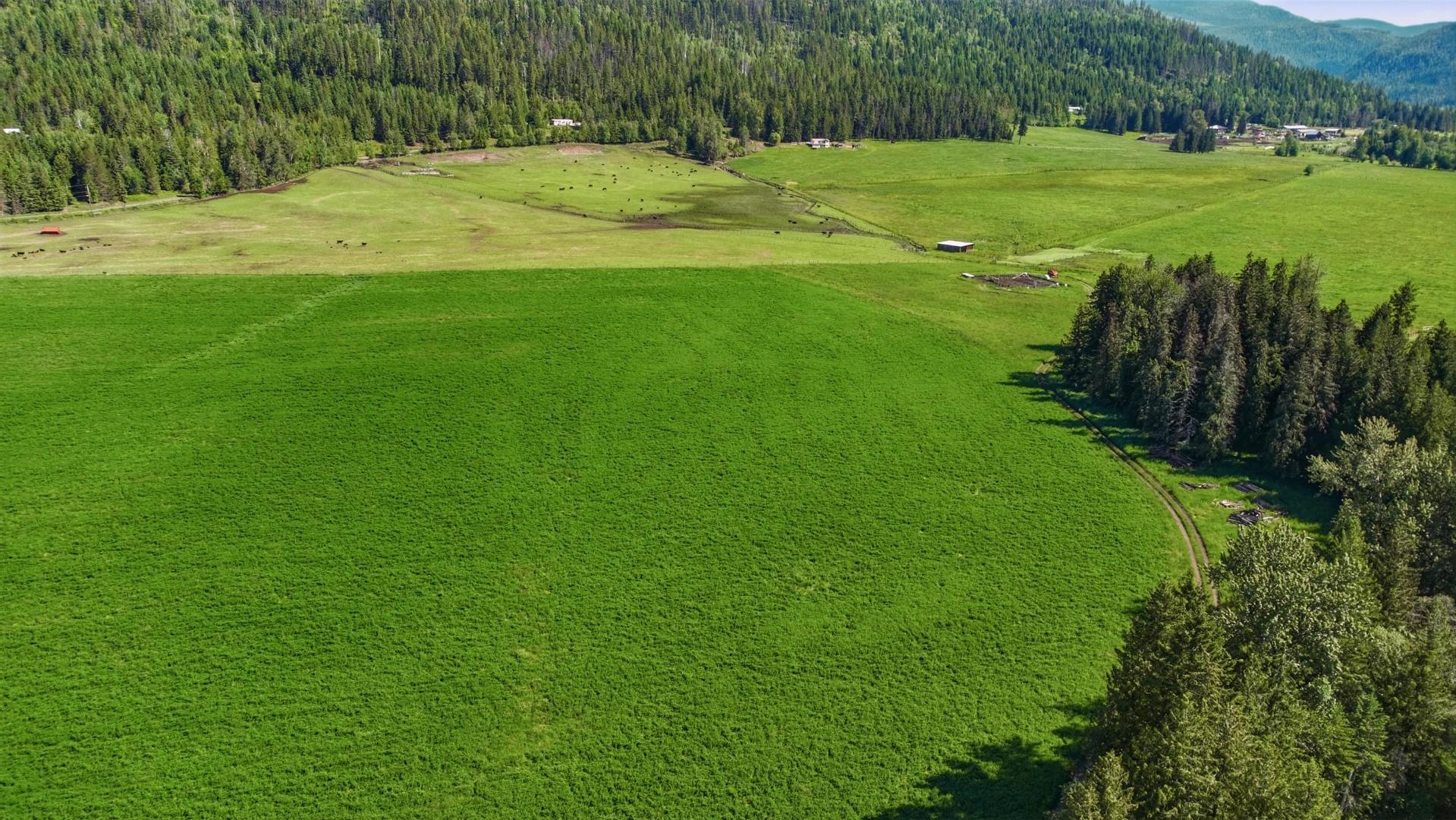 









33


Lang

Road,
Cherryville,







BC
V0E 2G3

