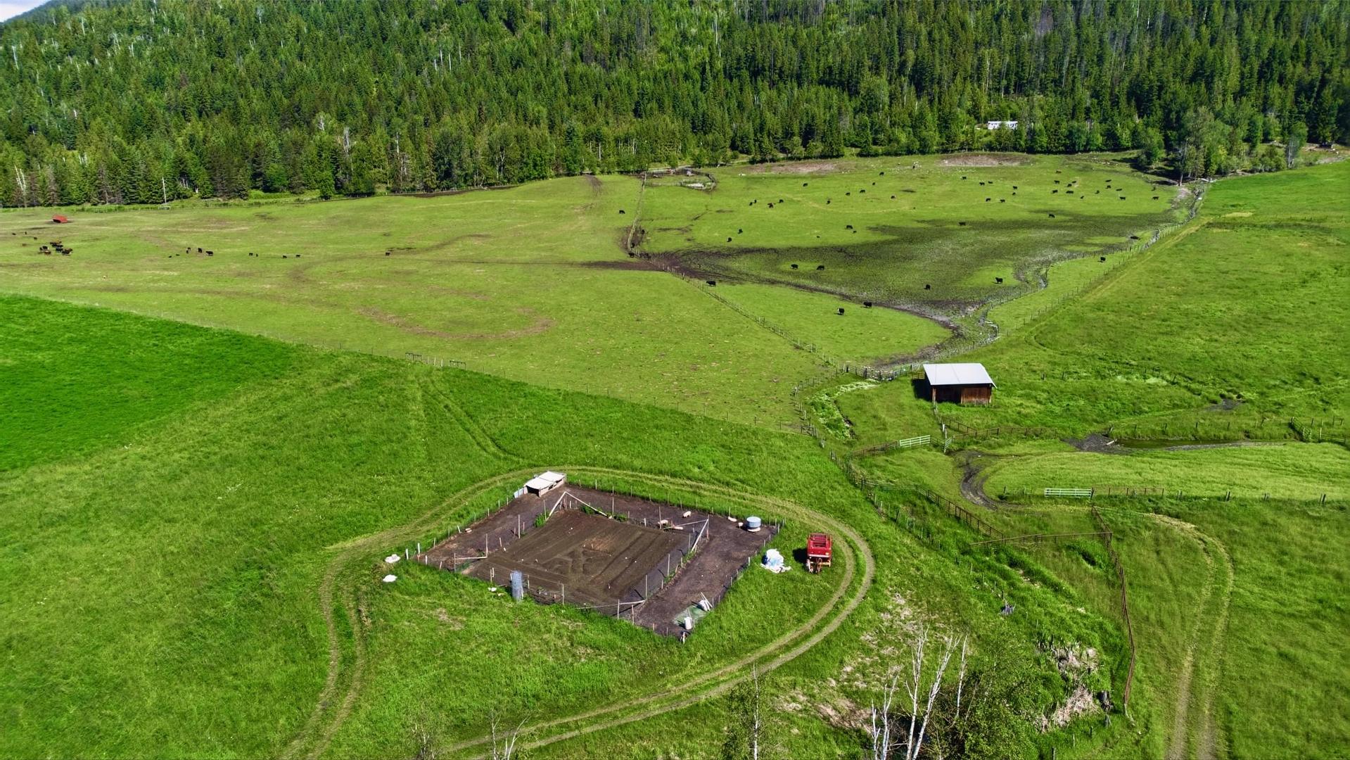 









33


Lang

Road,
Cherryville,







BC
V0E 2G3


