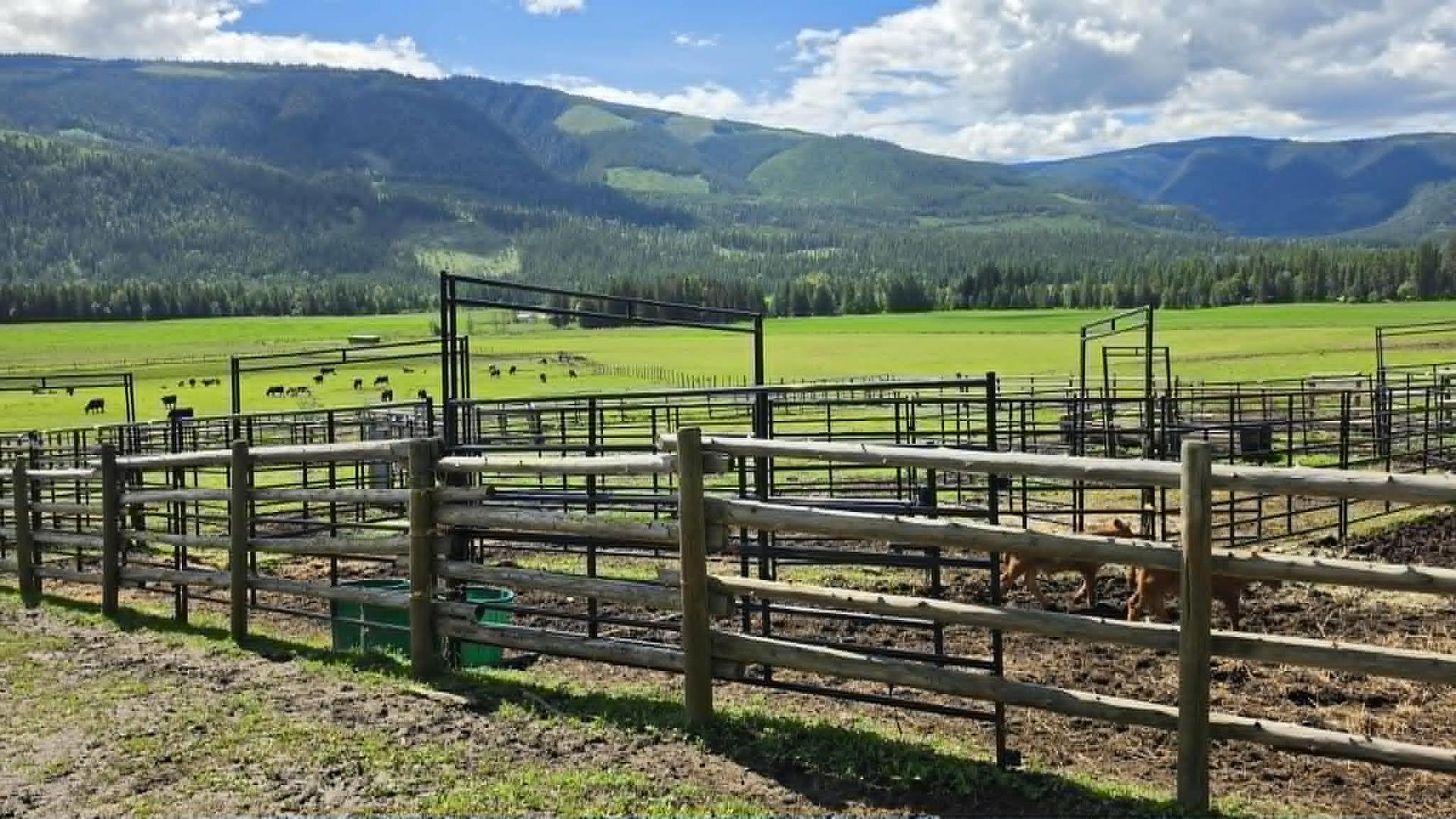 









33


Lang

Road,
Cherryville,







BC
V0E 2G3

