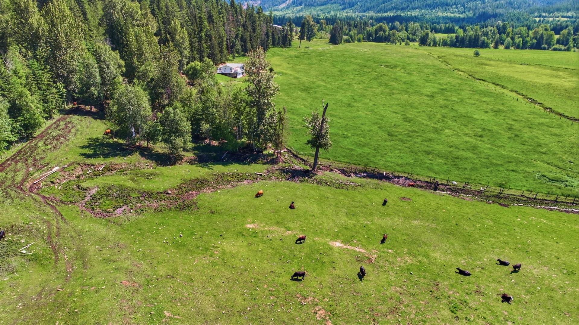 









33


Lang

Road,
Cherryville,







BC
V0E 2G3

