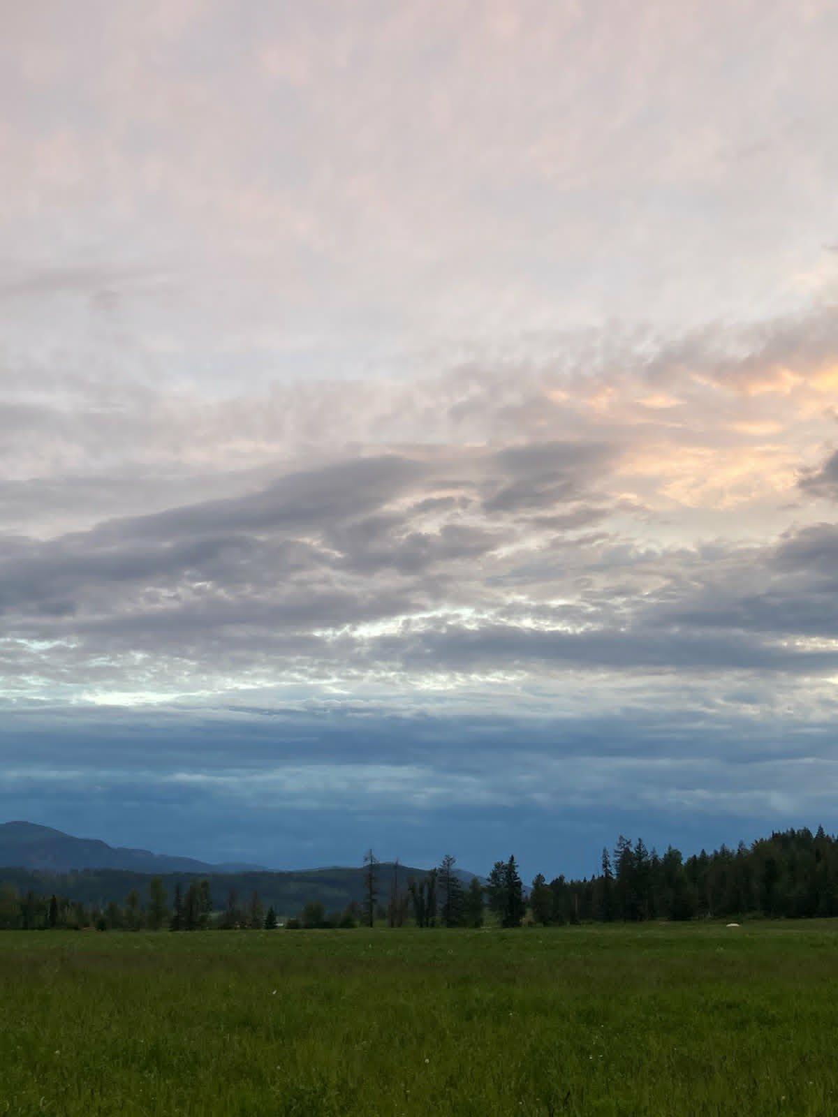 









33


Lang

Road,
Cherryville,







BC
V0E 2G3

