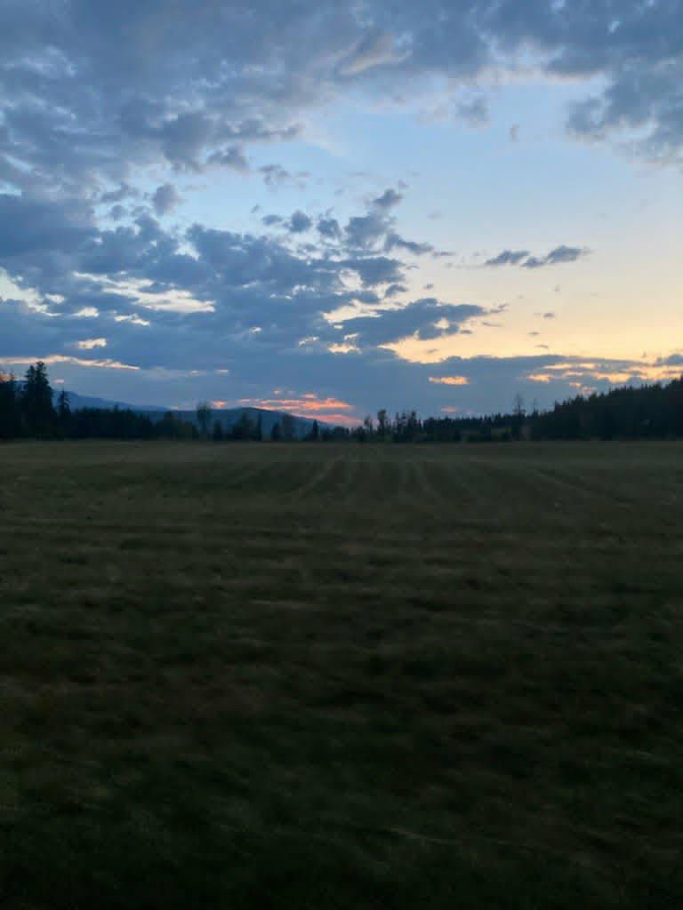 









33


Lang

Road,
Cherryville,







BC
V0E 2G3

