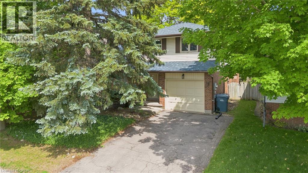 












18 MCELDERRY Road

,
Guelph,




Ontario
N1G4K3

