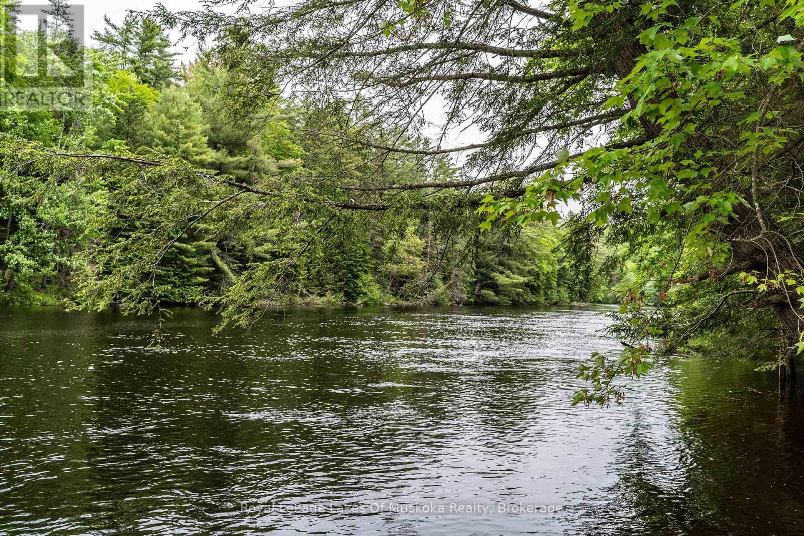












1136 SPRINGDALE SHORES PRIVATE

,
Bracebridge (Macaulay),




Ontario
P1L1W9

