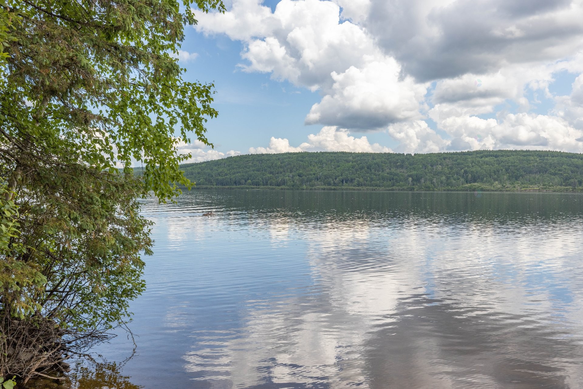 









401


Ch. Cloutier

,
Saint-Michel-des-Saints,




QC
J0K3B0

