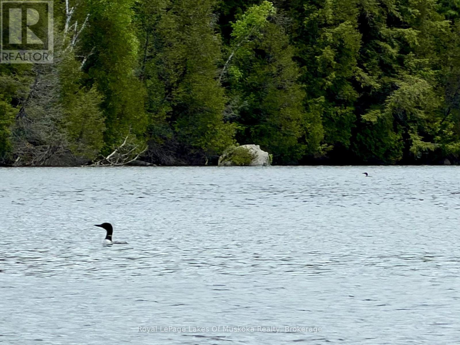 












0 ISLAND LAKE ROAD

,
Kearney,




Ontario
P0A1M0

