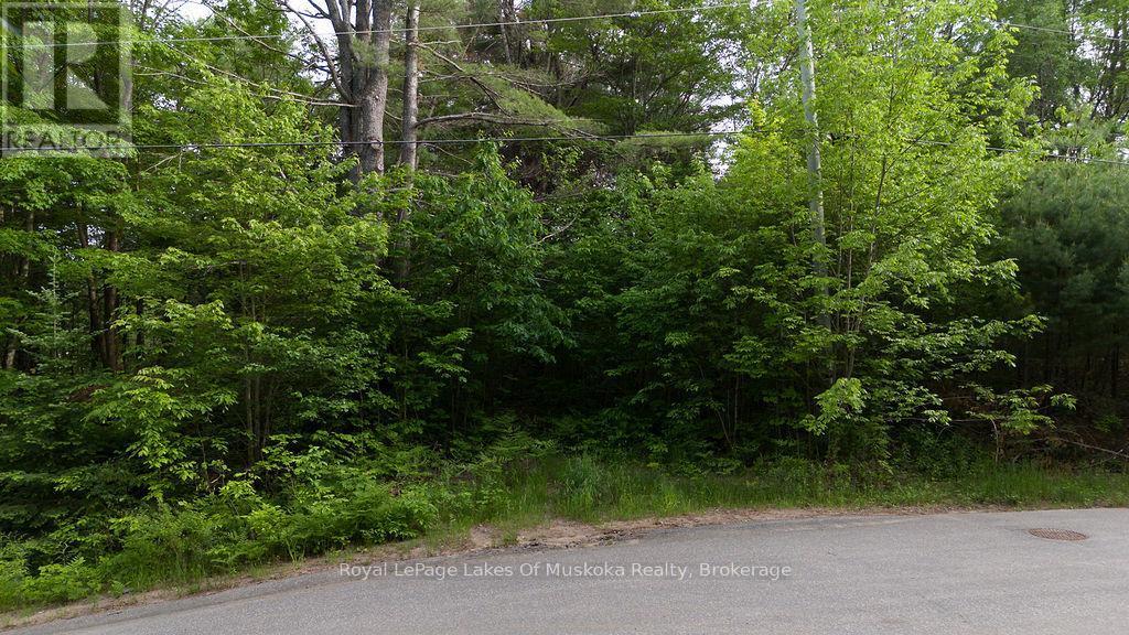 












0 SPRUCE STREET

,
Lake of Bays (Mclean),







Ontario
P0B1A0

